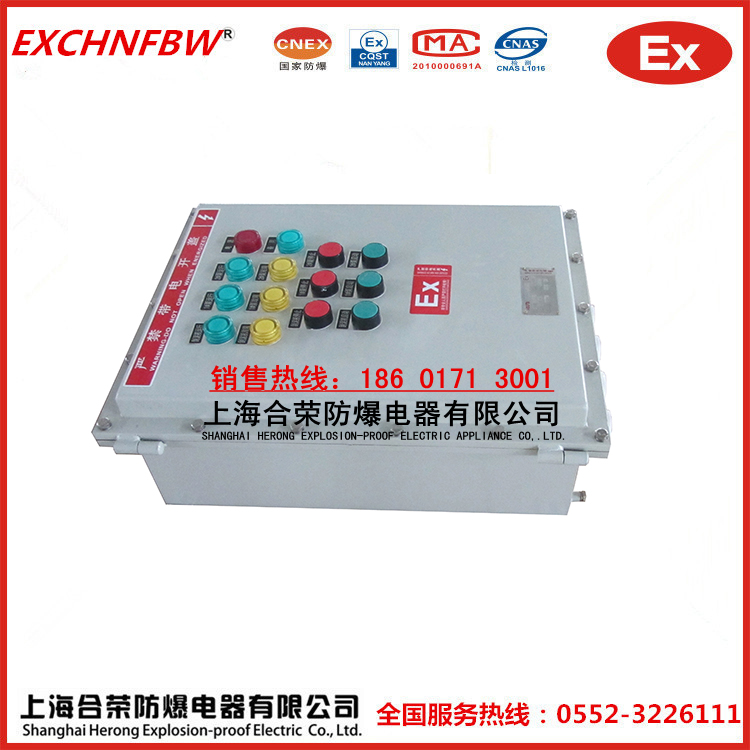 非标定制防爆配电箱