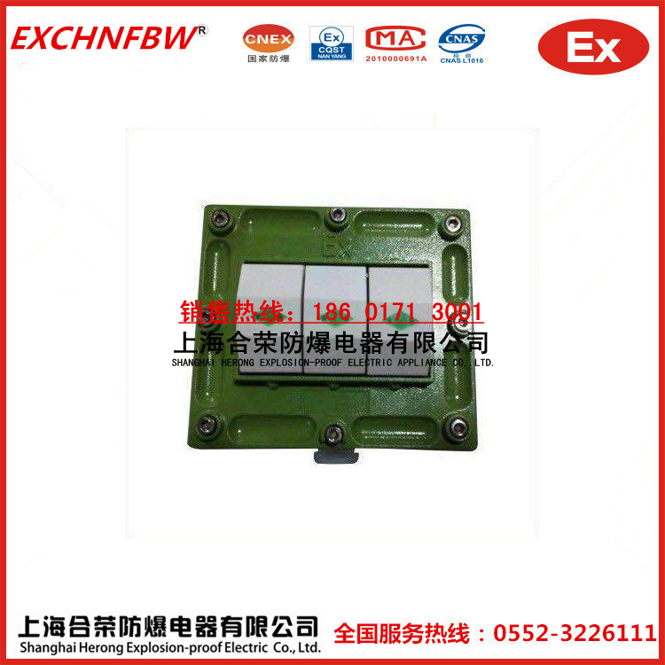 SW-10防爆墙壁开关